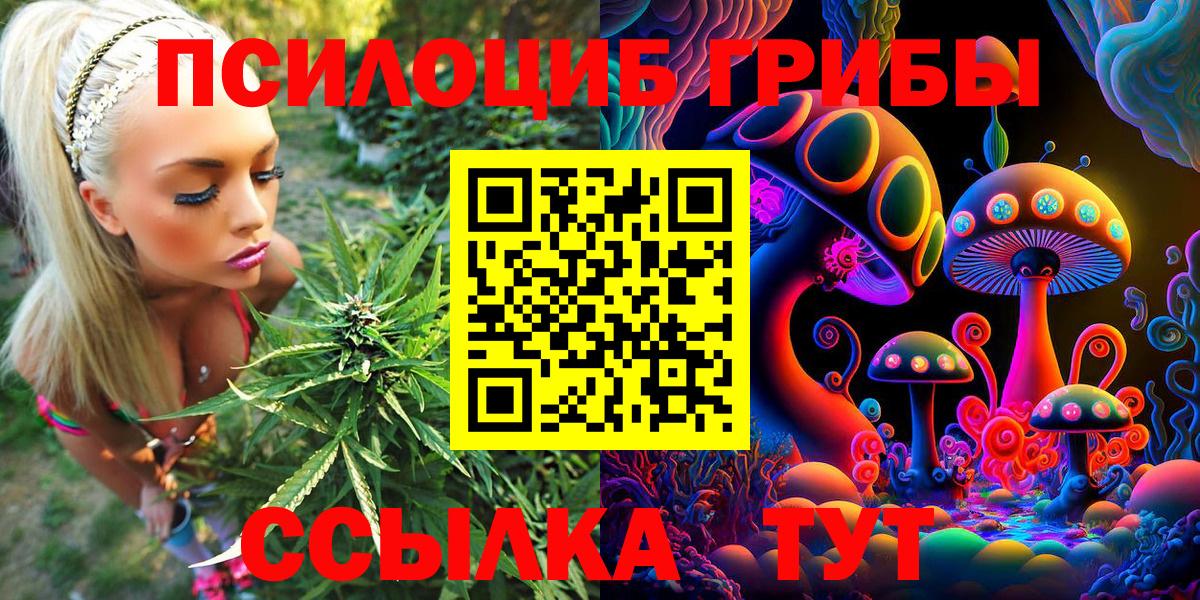 Псилоцибиновые грибы прущие грибы  Вход с VPN  Киселёвск 
